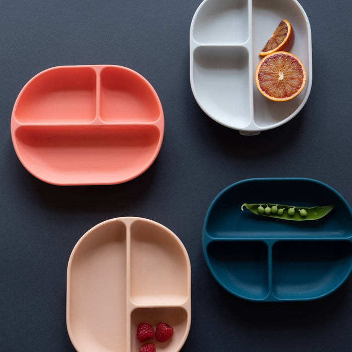Silicone Divided Suction Plate - Coral