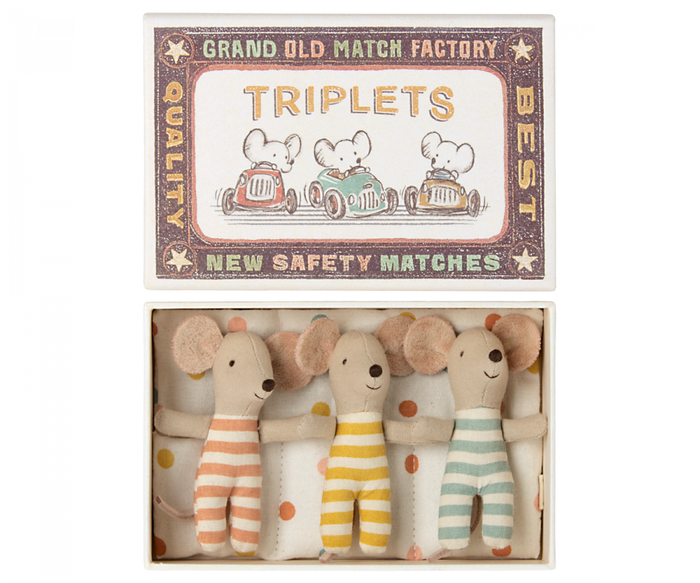 Triplets, Baby Mice in Matchbox
