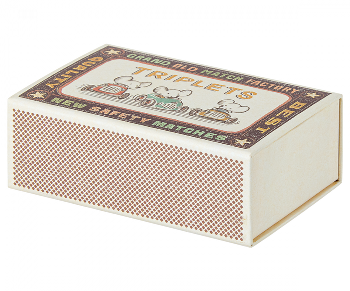Triplets, Baby Mice in Matchbox