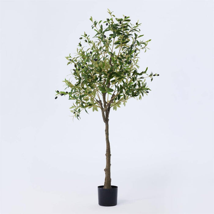 TRUU Artificial Potted Olive Tree, 63"H