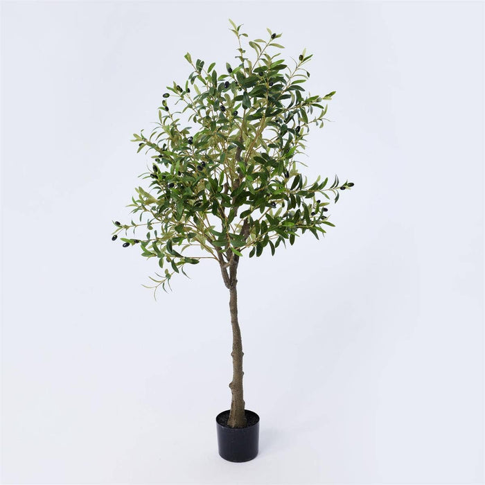 TRUU Artificial Potted Olive Tree, 63"H