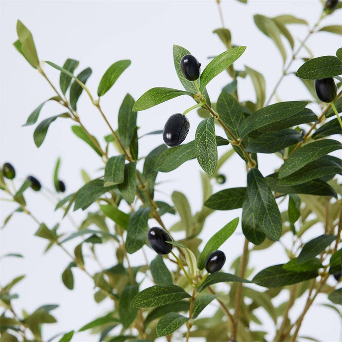 TRUU Artificial Potted Olive Tree, 63"H