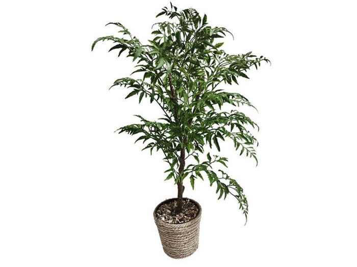 Truu Design Artificial Leafy Plant, 20"H, in 5"D Jute Pot