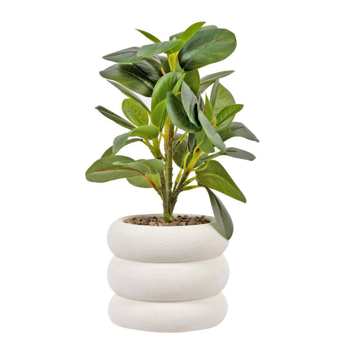 Truu Design Artificial Plant in 4.75"D Cement Pot