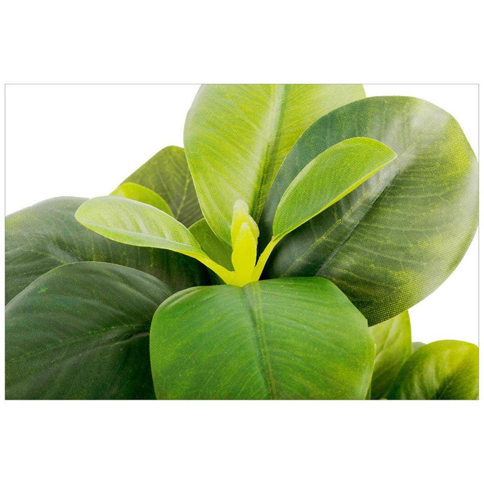 Truu Design Artificial Plant in 4.75"D Cement Pot