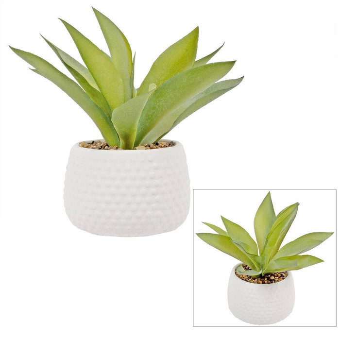 Truu Design Artificial Plant in 4.75"D Cement Pot