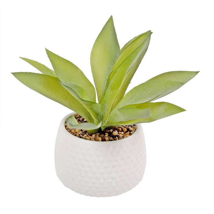 Truu Design Artificial Plant in 4.75"D Cement Pot