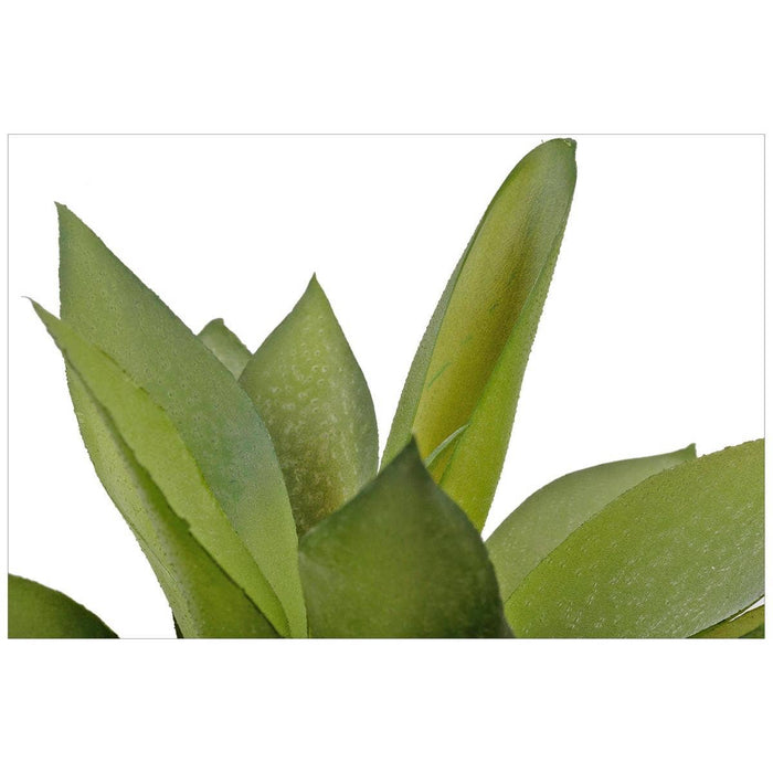 Truu Design Artificial Plant in 4.75"D Cement Pot