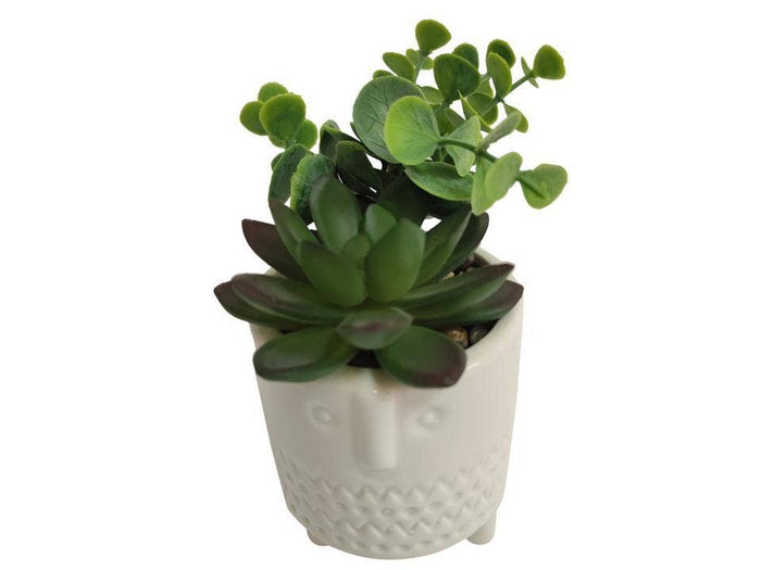 Truu Design Artificial Plants in 3"D Ceramic Pot, 6.25"H